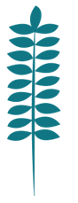 Blé